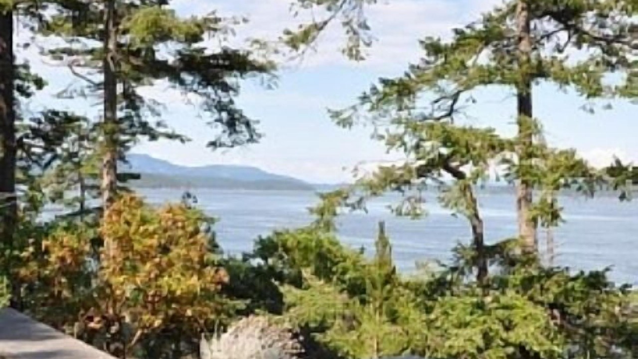 Photo of Others in Friday Harbor