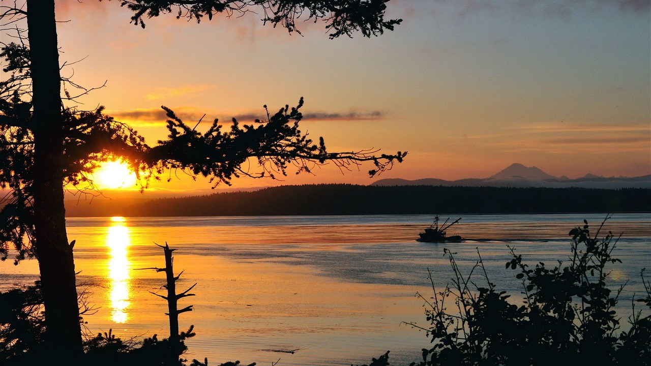 Photo of Others in Friday Harbor