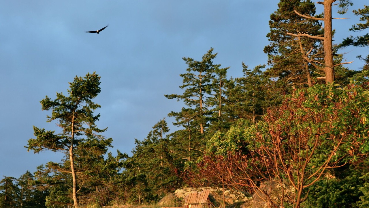 Photo of Others in Friday Harbor