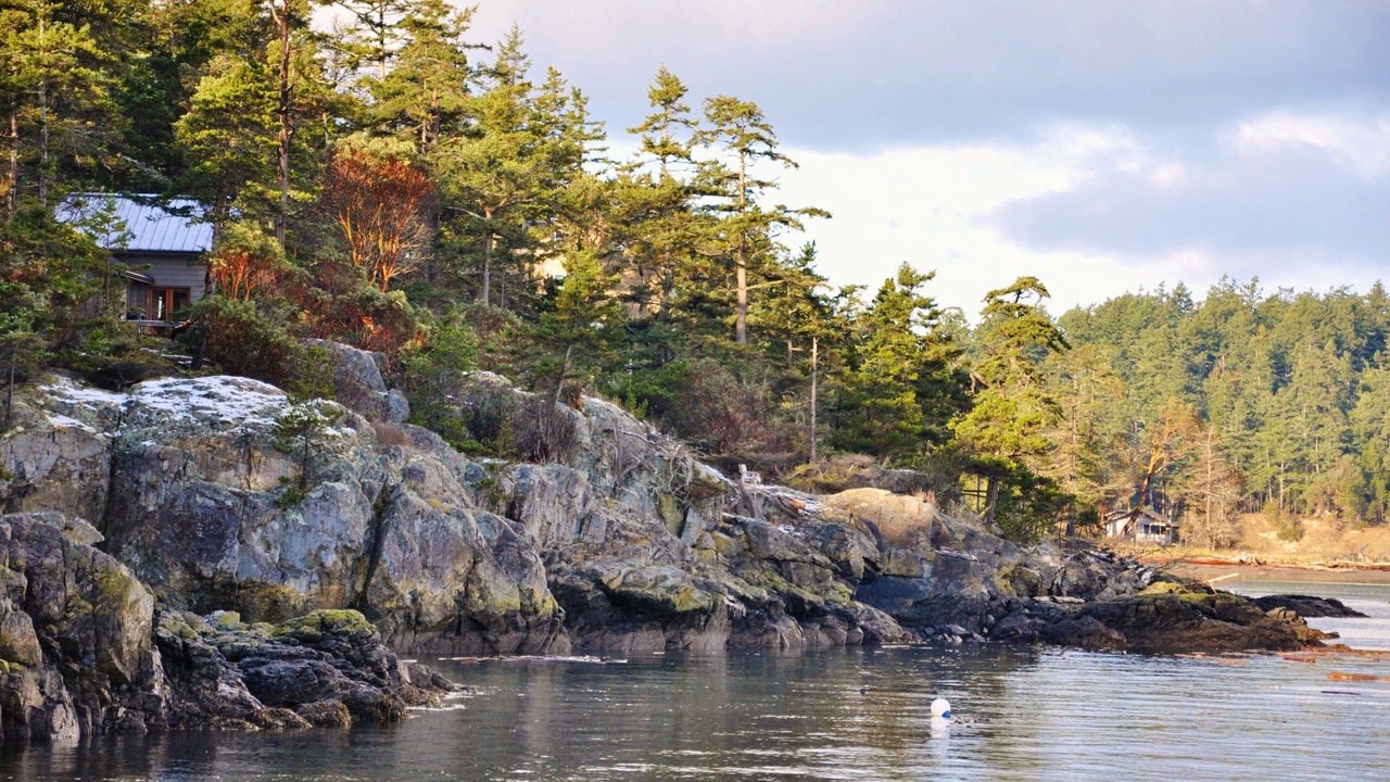Photo of Others in Friday Harbor