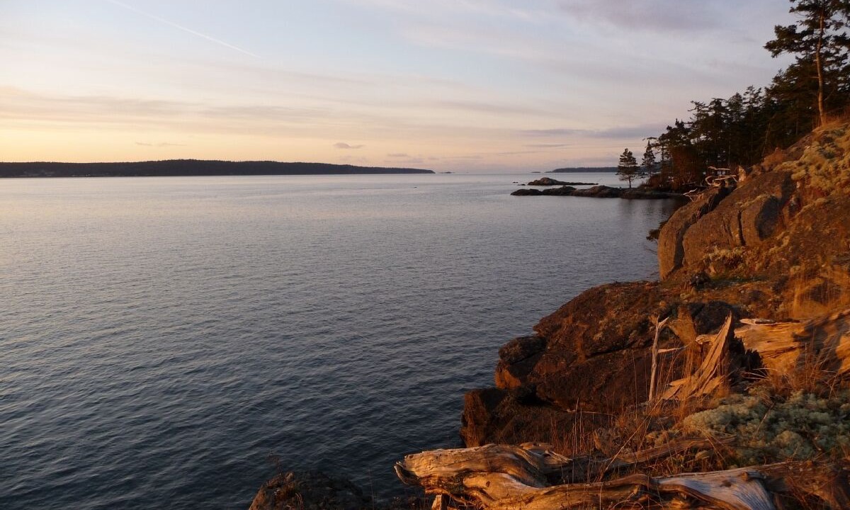Photo of Others in Friday Harbor