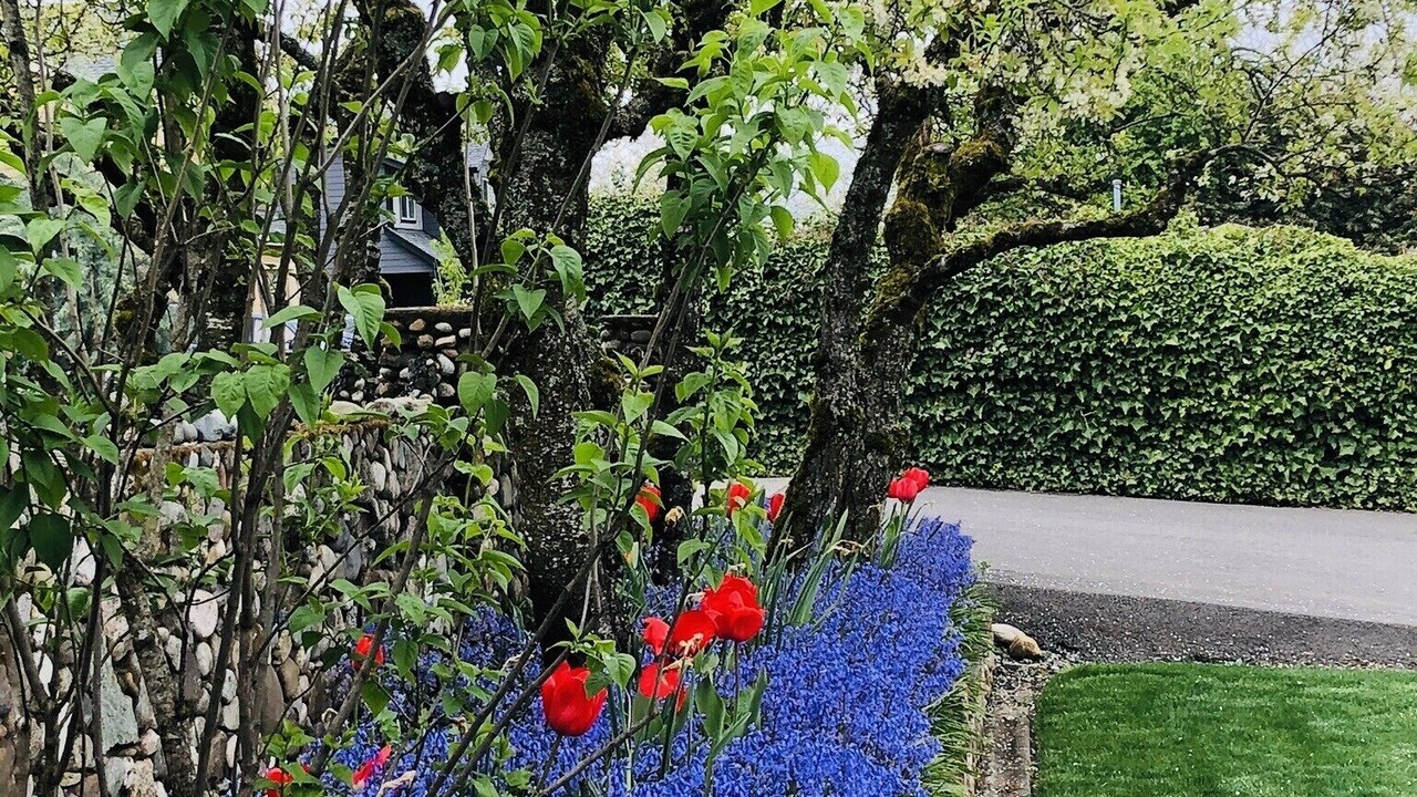 Photo of Outdoor in Tukwila