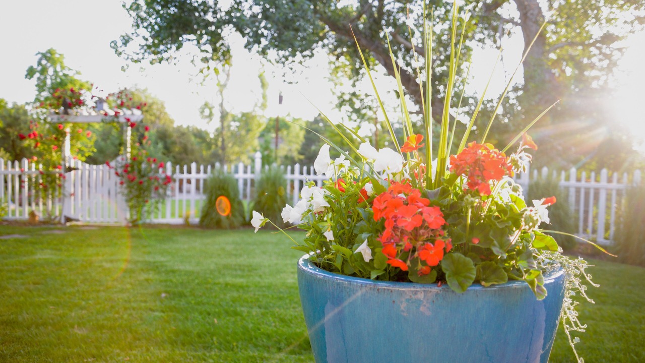 Photo of Outdoor in Columbine Knolls