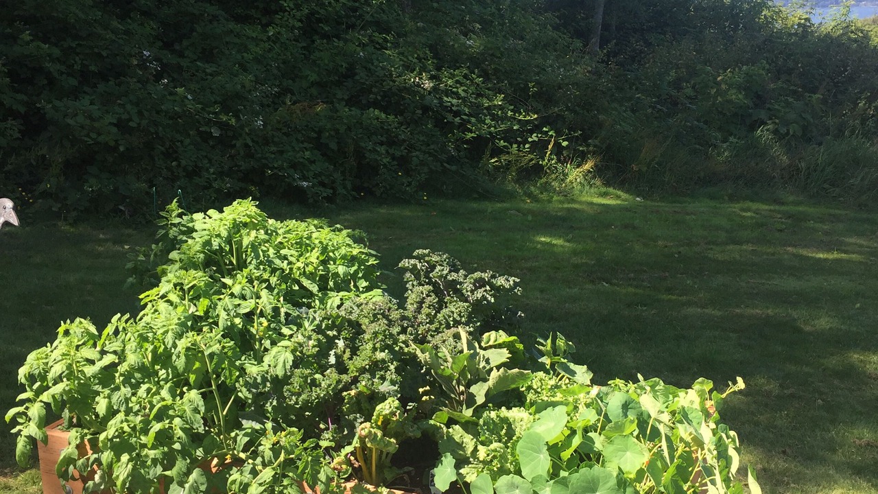 Photo of Outdoor in Hansville