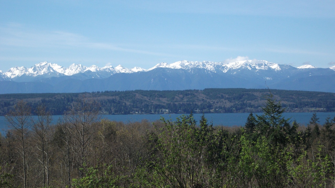 Photo of Others in Hansville