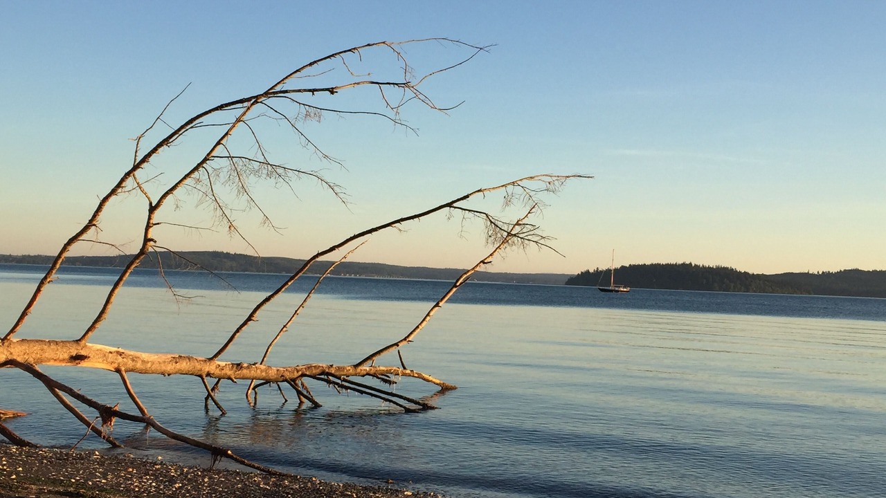 Photo of Others in Hansville
