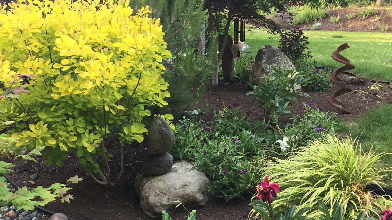Photo of Outdoor in Hansville