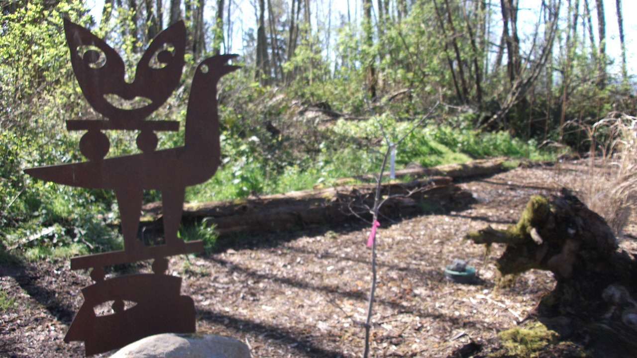 Photo of Outdoor in Hansville