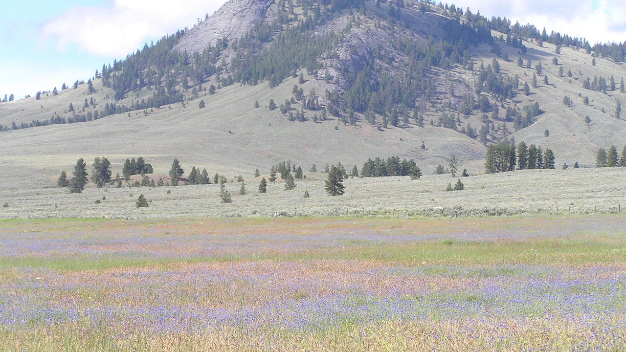 Photo of Others in Nespelem