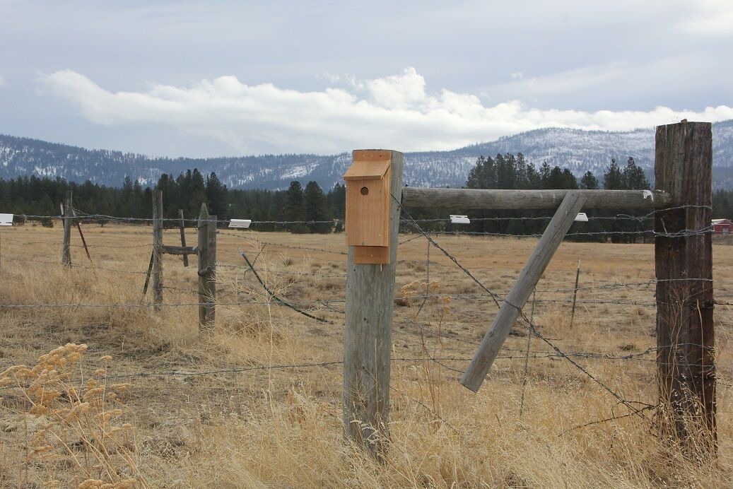 Photo of Others in Nespelem