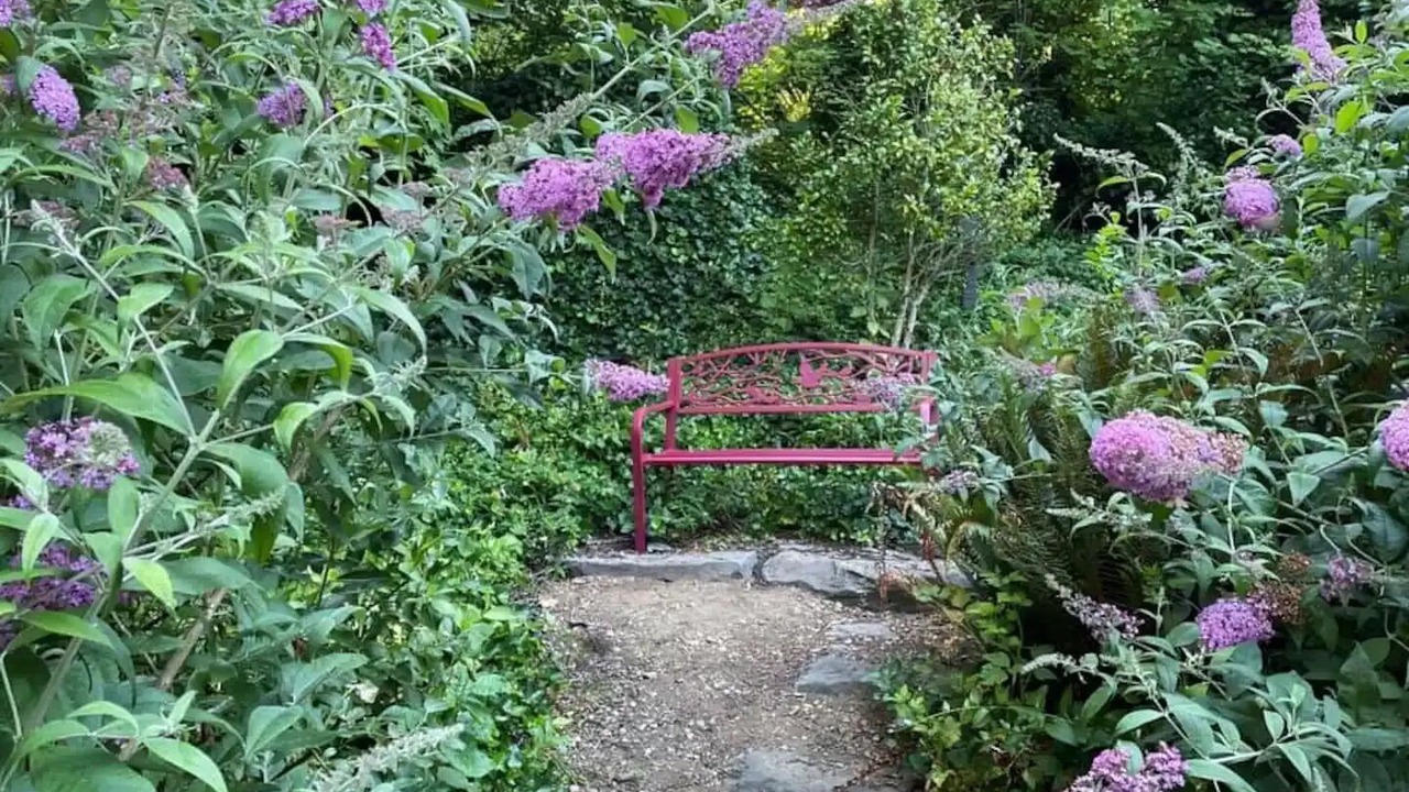 Photo of Outdoor in Silver Creek