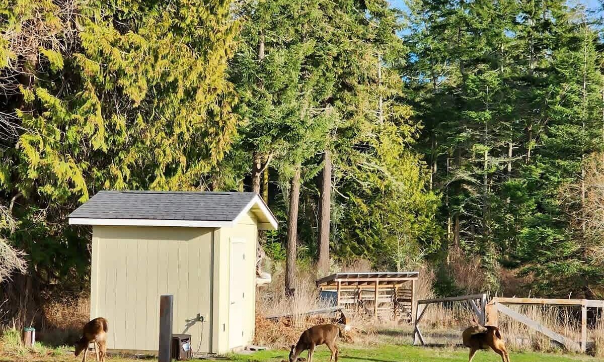 Photo of Others in Sequim