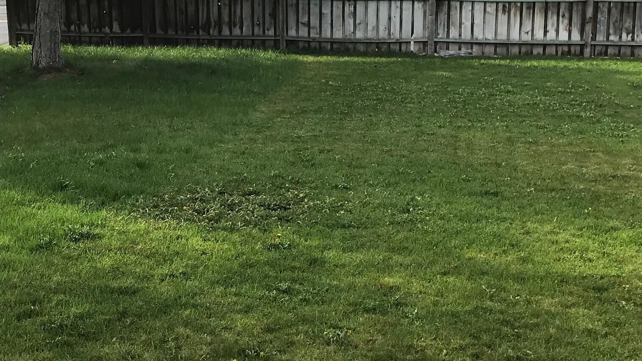 Photo of Outdoor in Moses Lake
