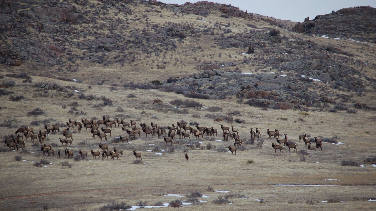 Photo of Others in Livermore