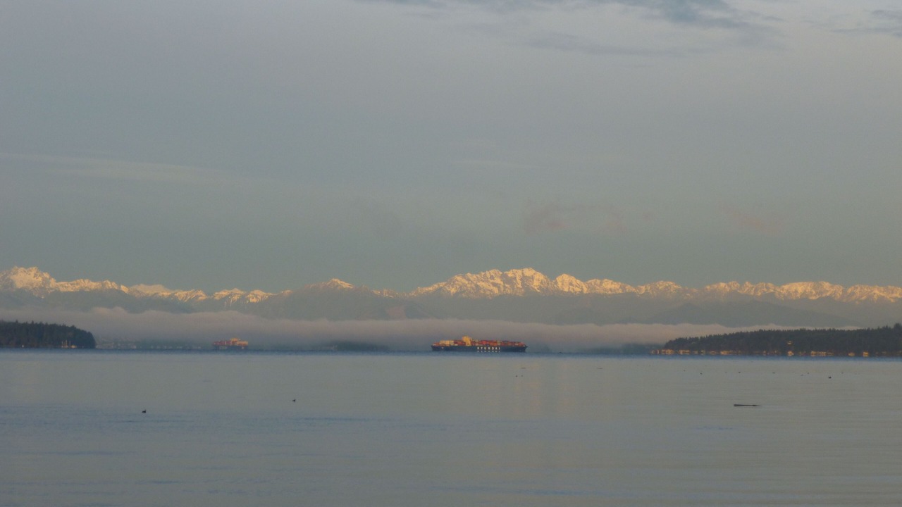 Photo of Others in West Seattle