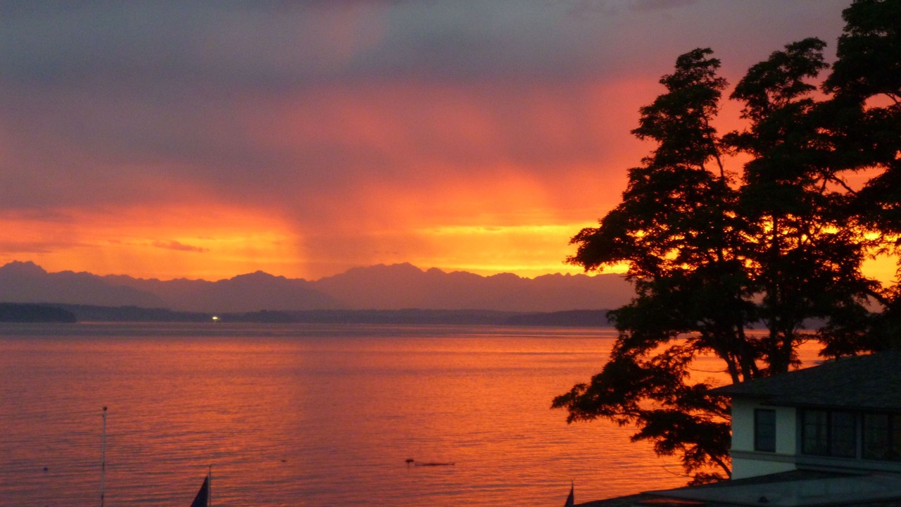 Photo of Others in West Seattle