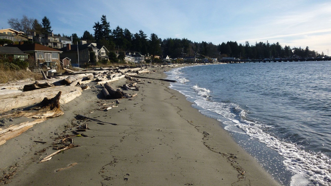 Photo of Others in West Seattle