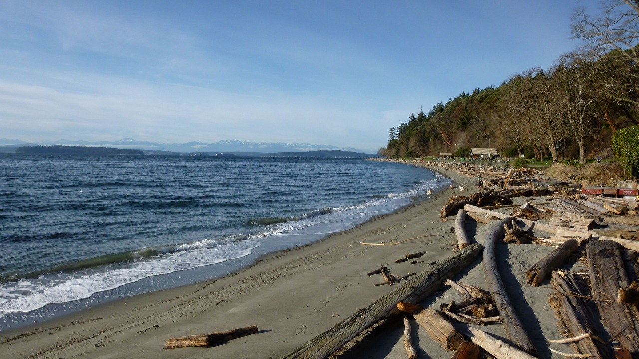 Photo of Others in West Seattle
