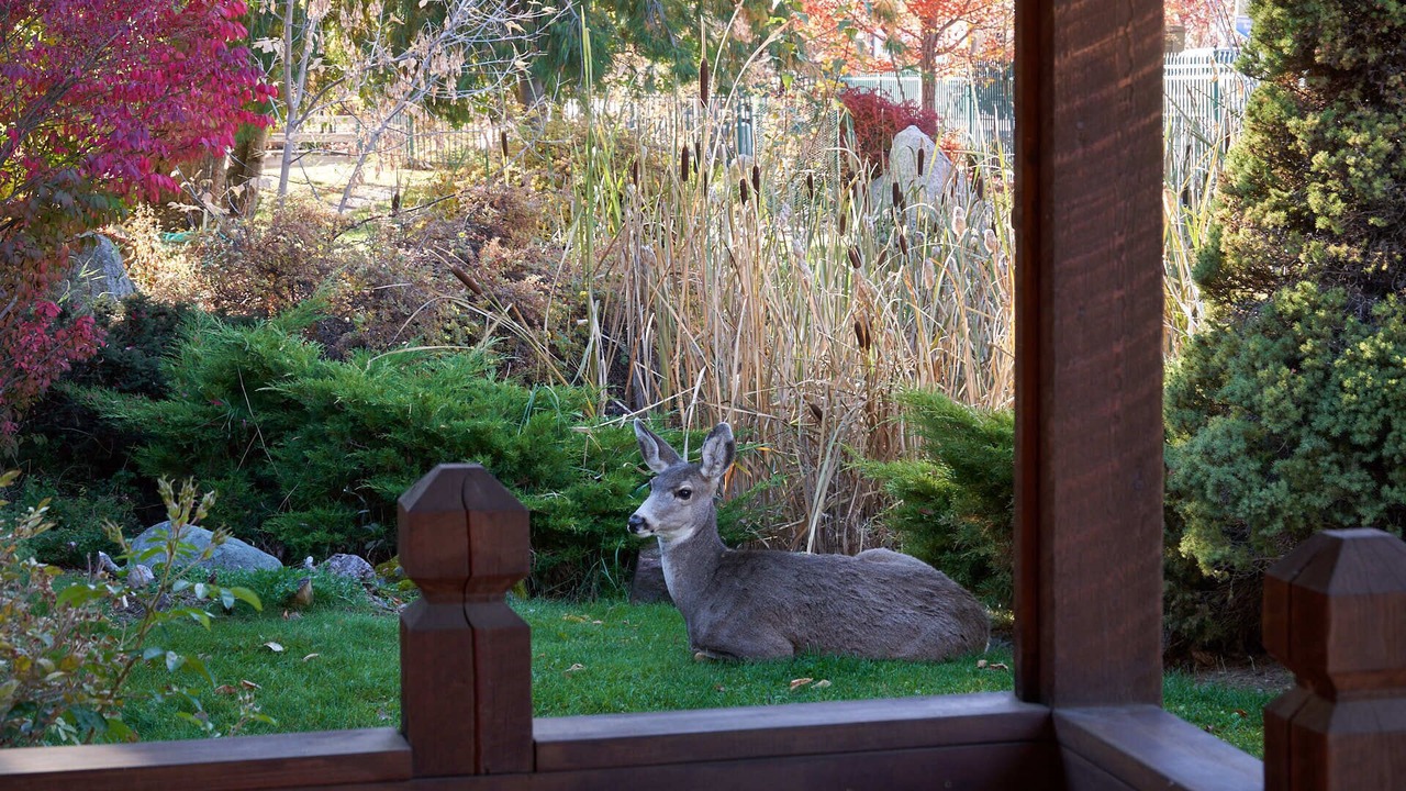 Photo of Outdoor in Joseph