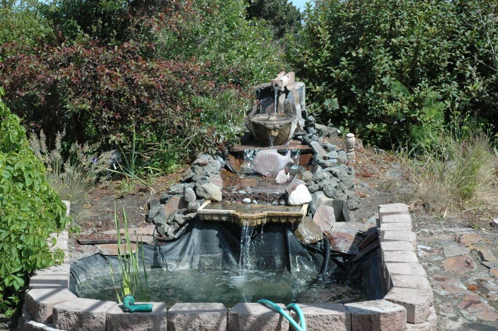 Photo of Others in Sequim