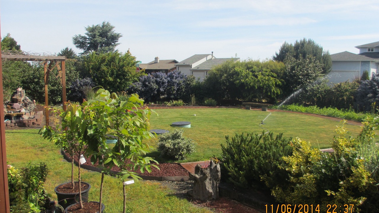 Photo of Outdoor in Sequim