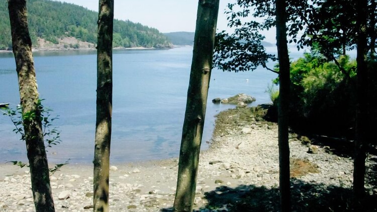 Photo of Others in Olga