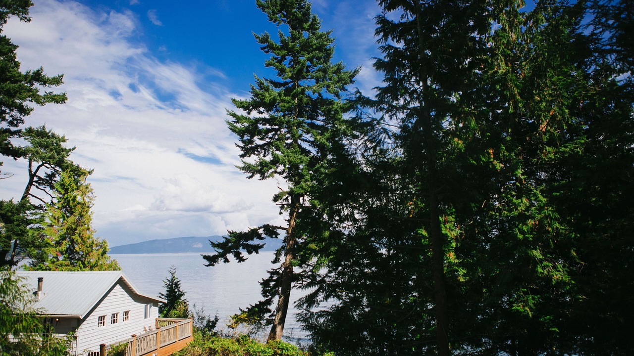 Photo of Outdoor in Olga