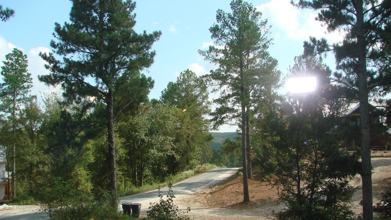 Photo of Outdoor in Golden