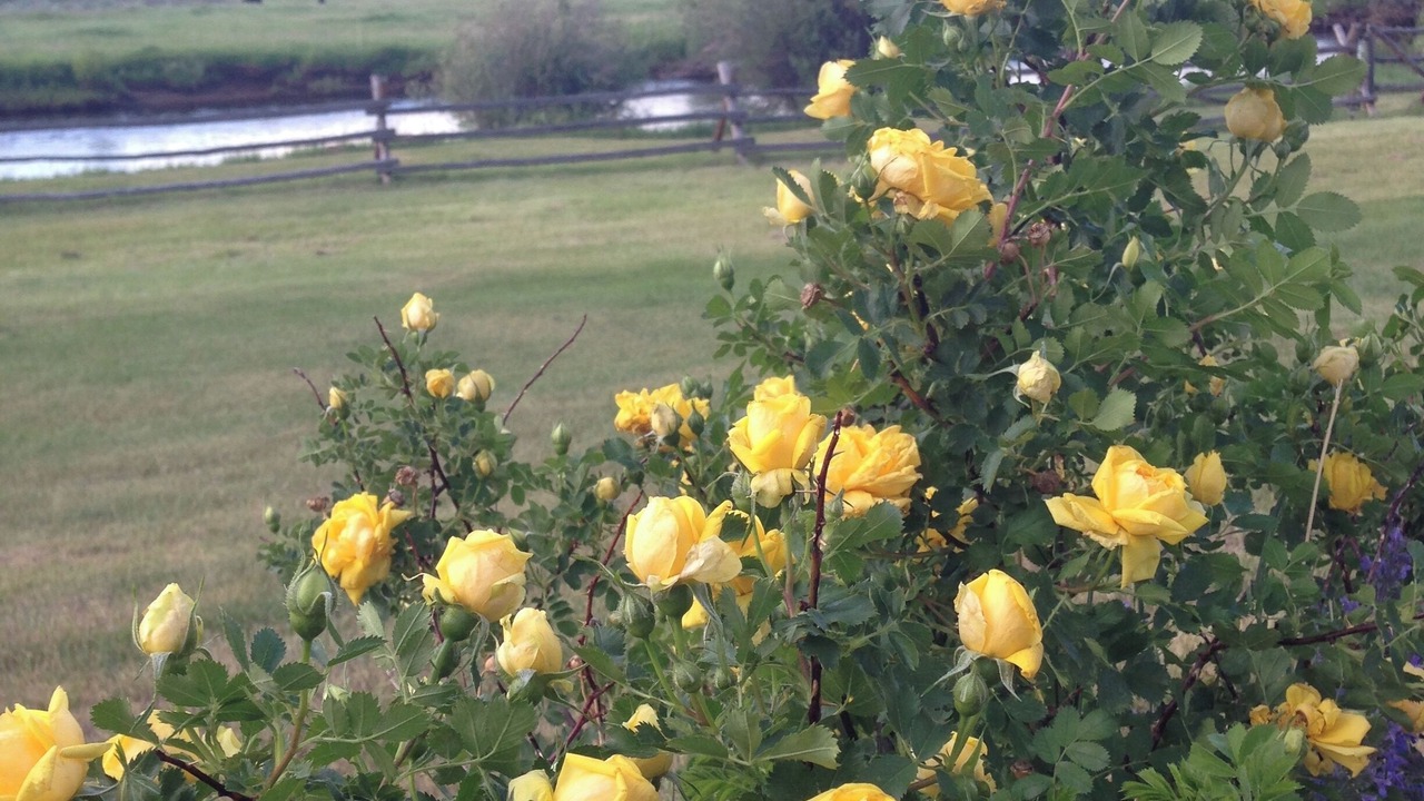 Photo of Outdoor in Glendevey