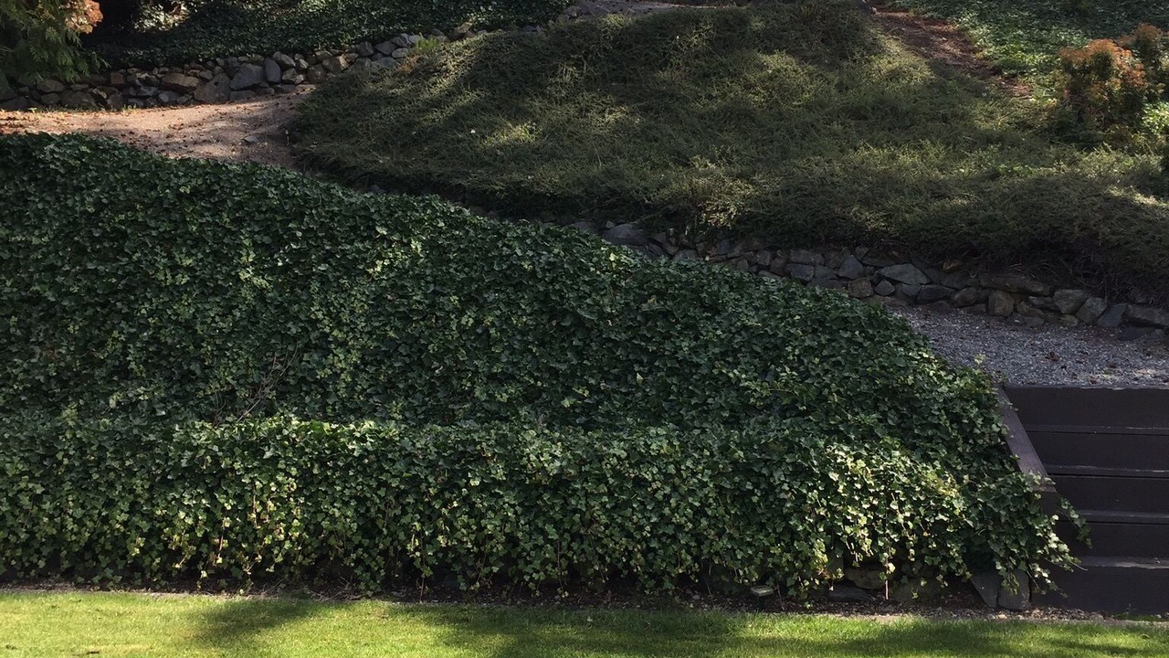 Photo of Outdoor in Bonney Lake