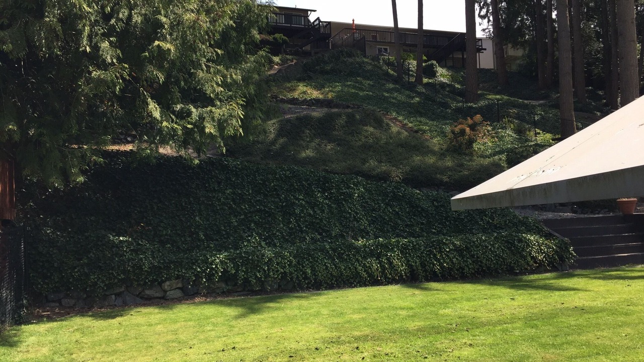 Photo of Outdoor in Bonney Lake