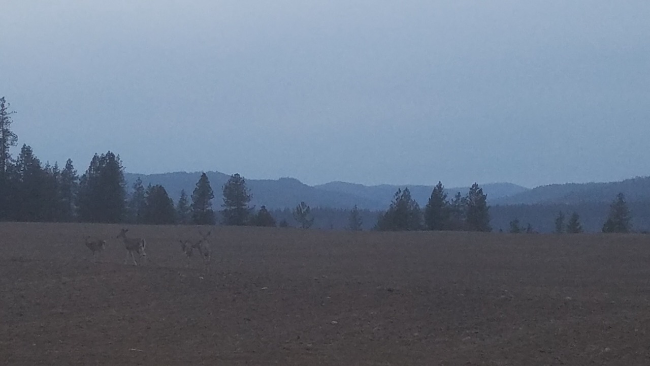 Photo of Others in Fruitland