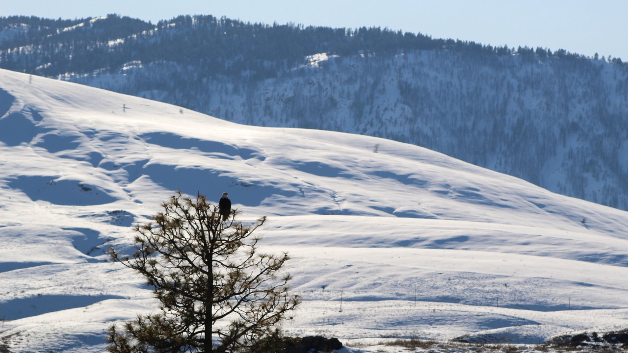 Photo of Others in Okanogan