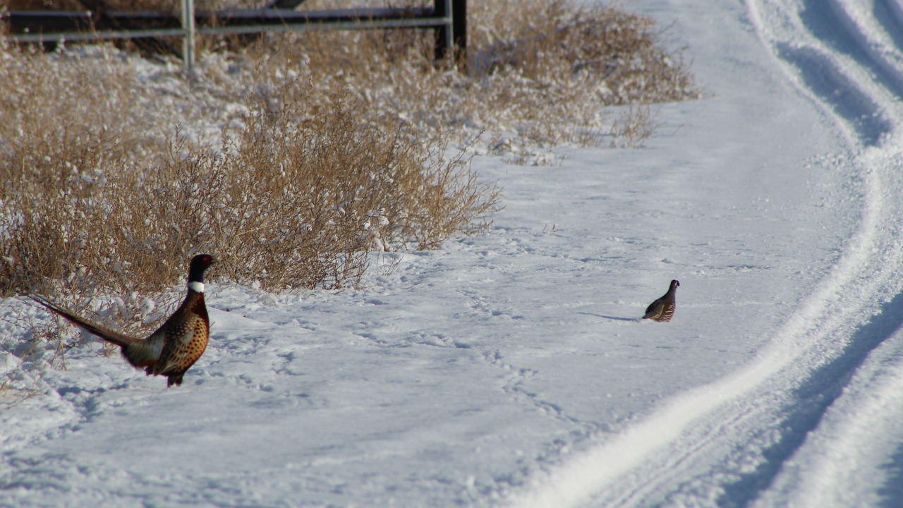 Photo of Others in Okanogan