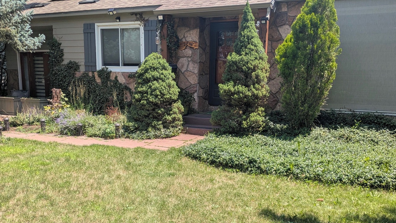 Photo of Outdoor in Baseline Sub