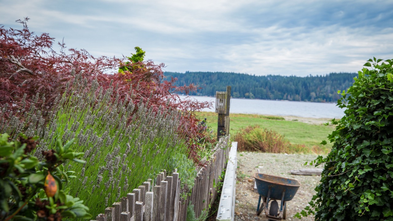 Photo of Outdoor in Belfair