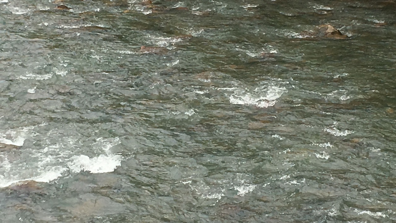 Photo of Others in Smithville