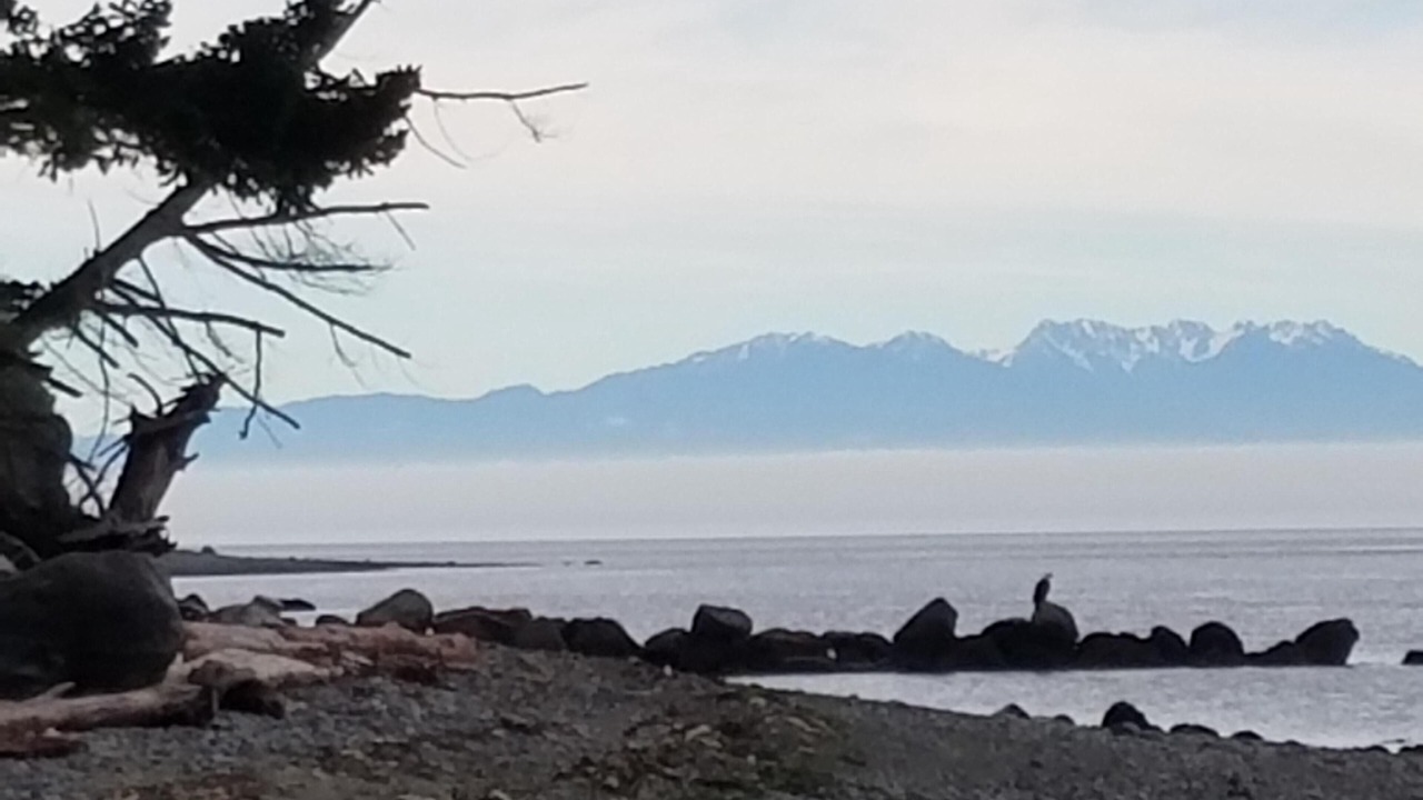 Photo of Others in Lopez Island