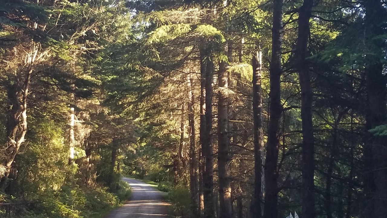 Photo of Others in Lopez Island