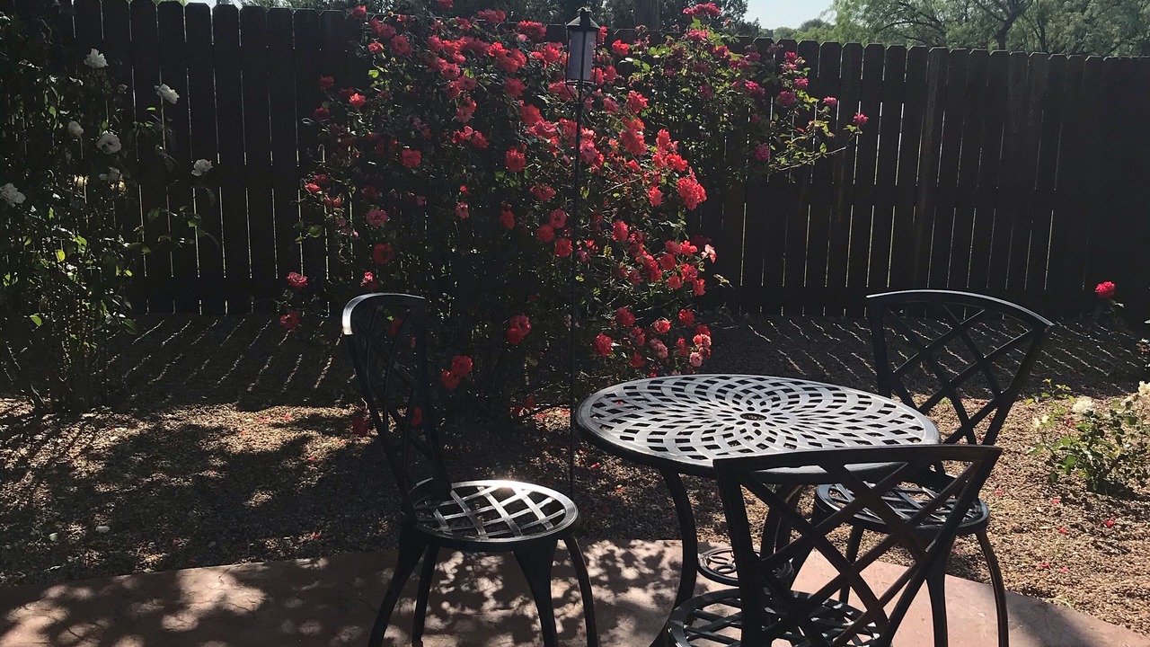 Photo of Outdoor in Graham