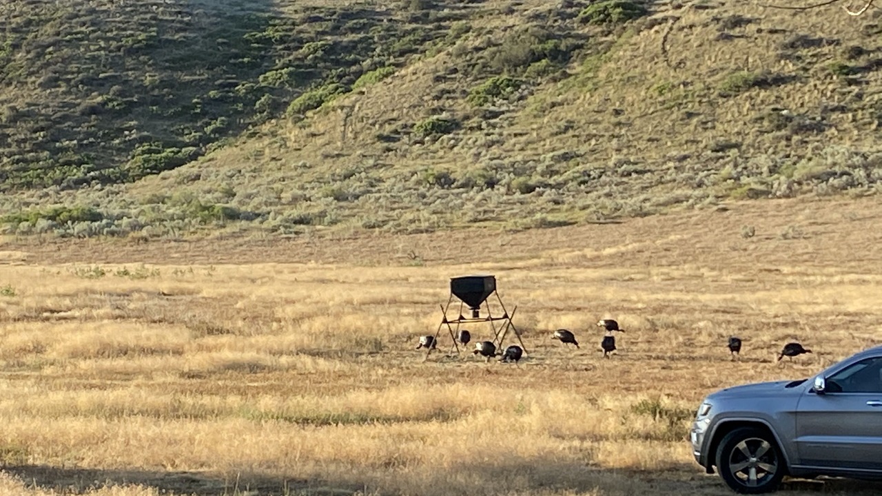 Photo of Others in Wheatland