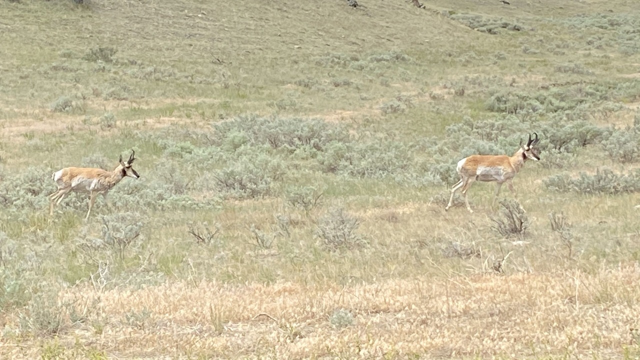 Photo of Others in Wheatland