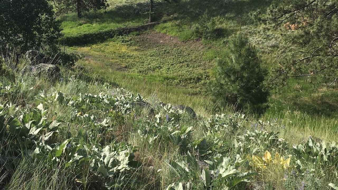 Photo of Outdoor in Oroville