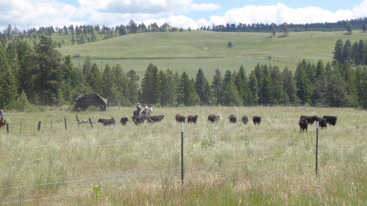 Photo of Outdoor in Oroville