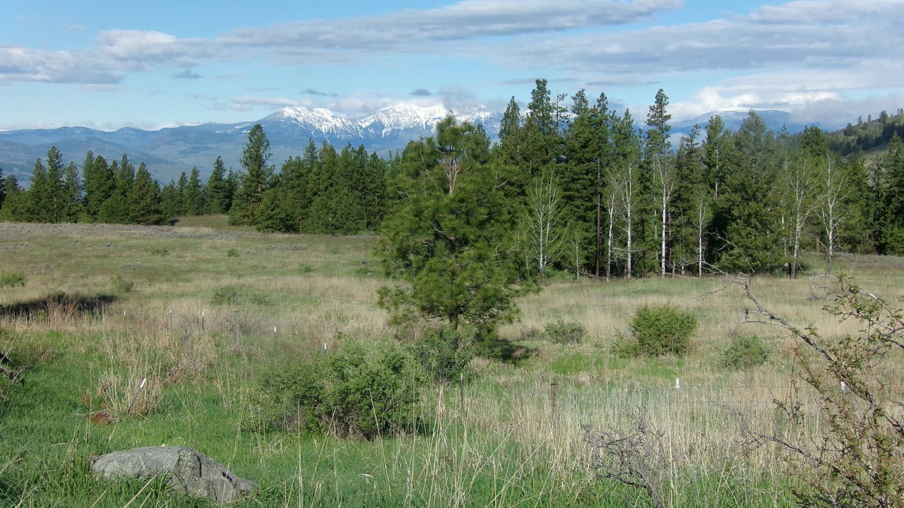 Photo of Outdoor in Oroville