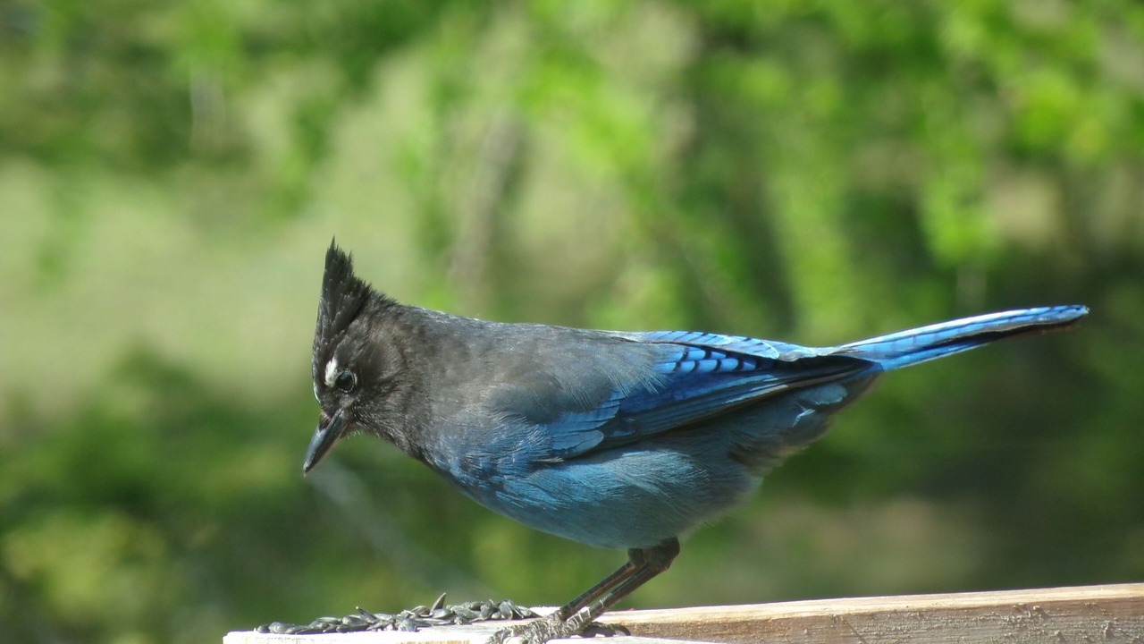 Photo of Outdoor in Oroville