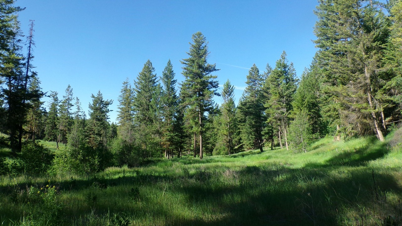 Photo of Outdoor in Oroville