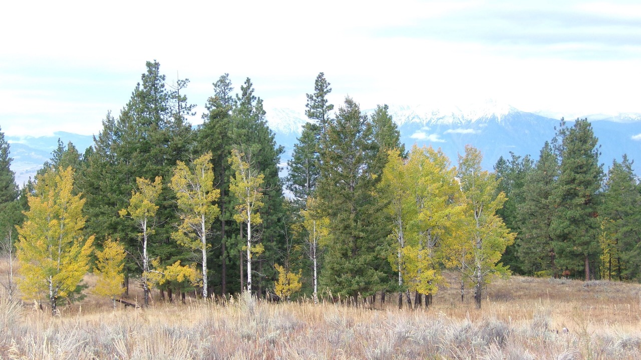 Photo of Outdoor in Oroville