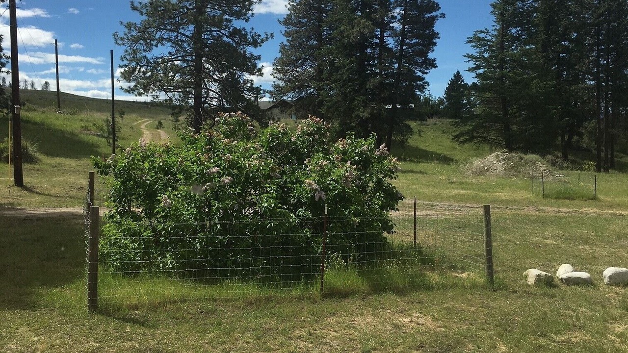 Photo of Outdoor in Oroville