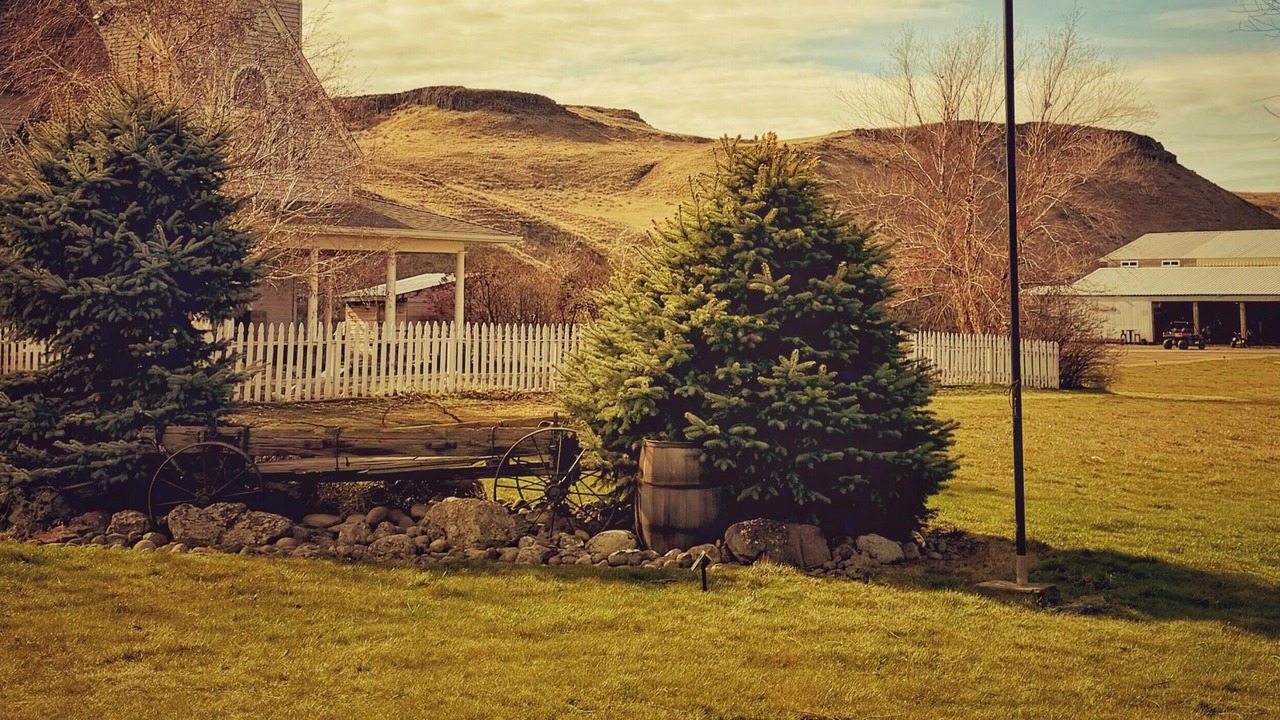 Photo of Outdoor in Joso